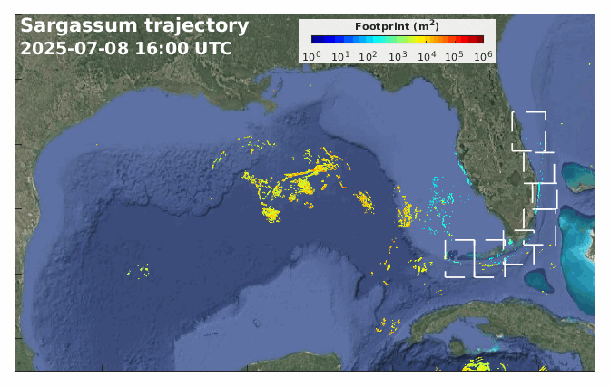 Sargassum Trajectories