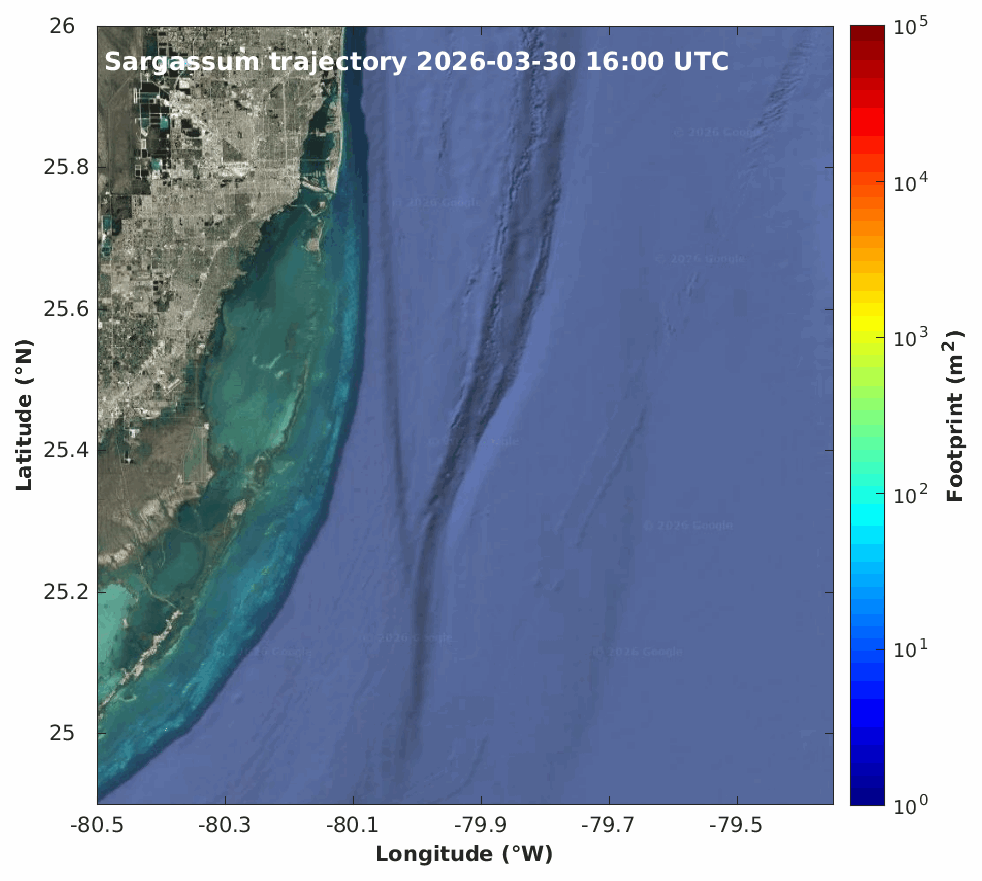 Biscane Bay Sargassum Trajectories