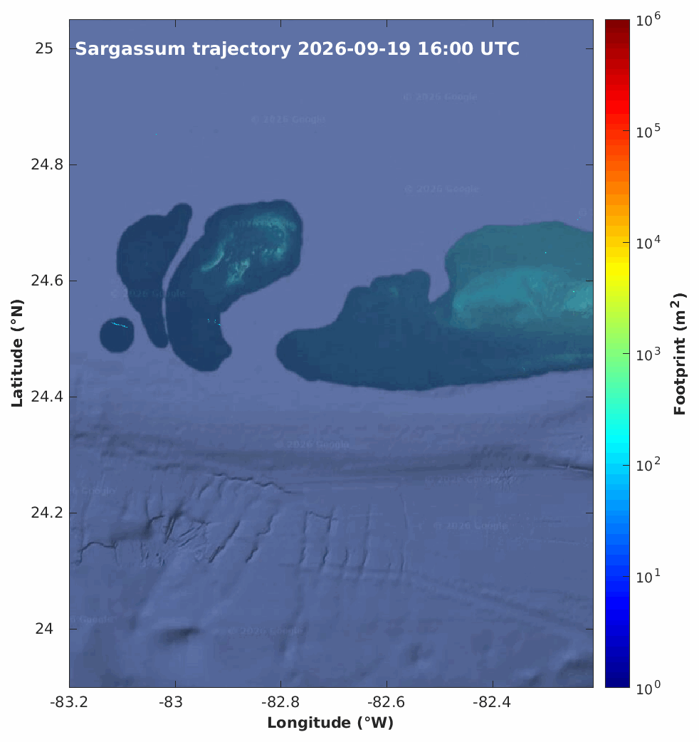 Dry Tortugas Sargassum Trajectories