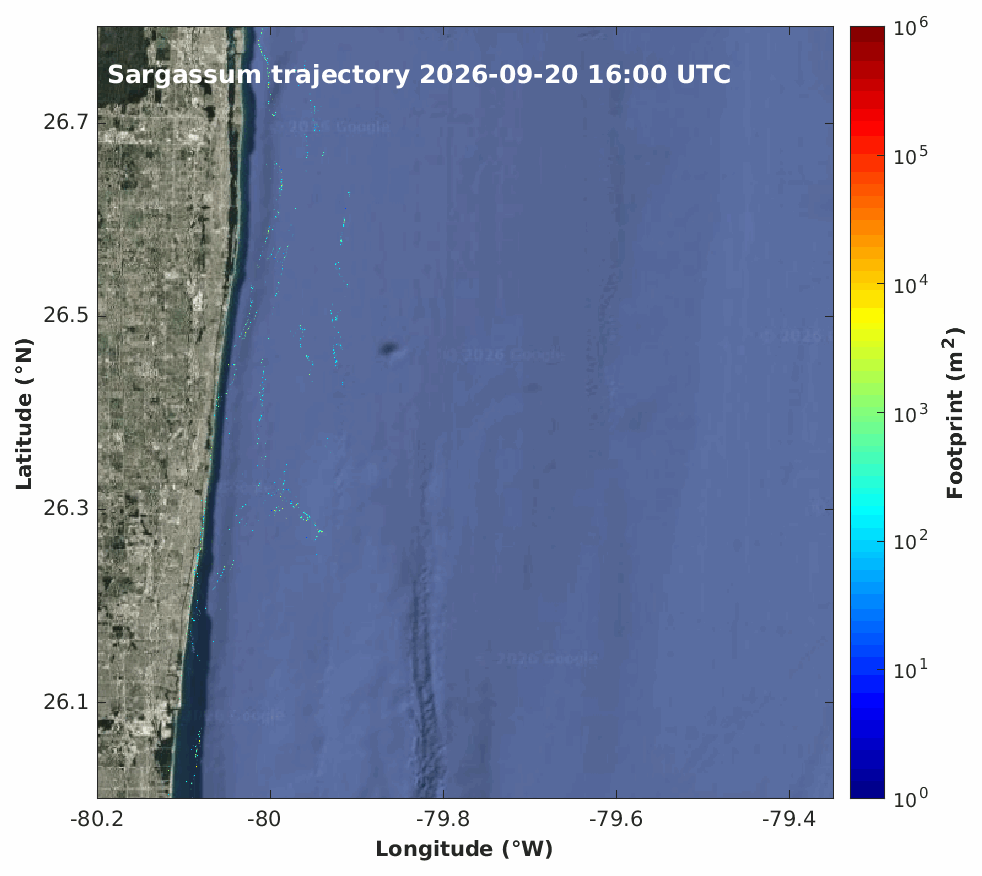 Gold Coast Sargassum Trajectories