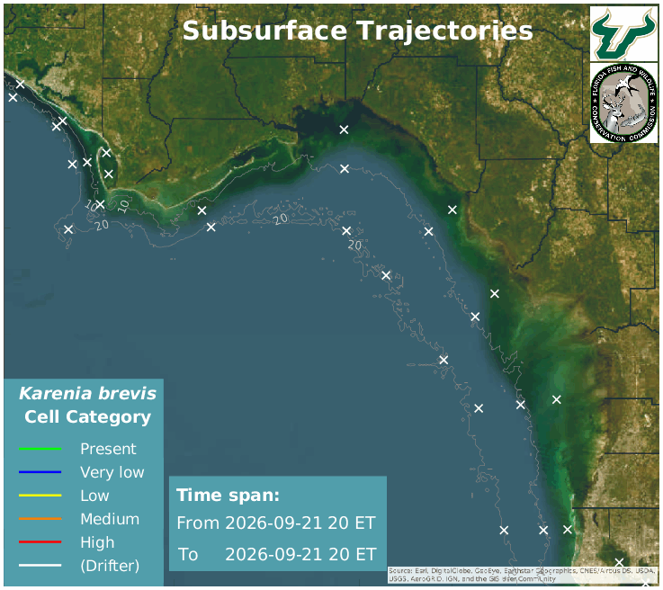Big Bend Region Lower Water Column HAB Trajectories