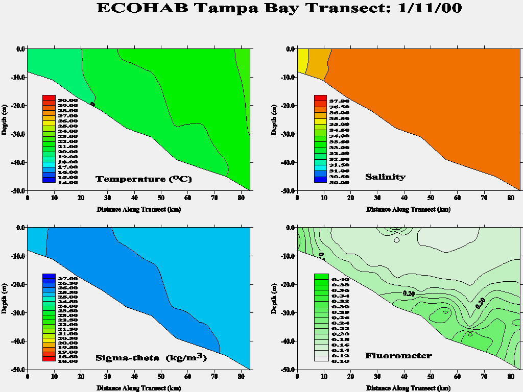 Tampa Transect